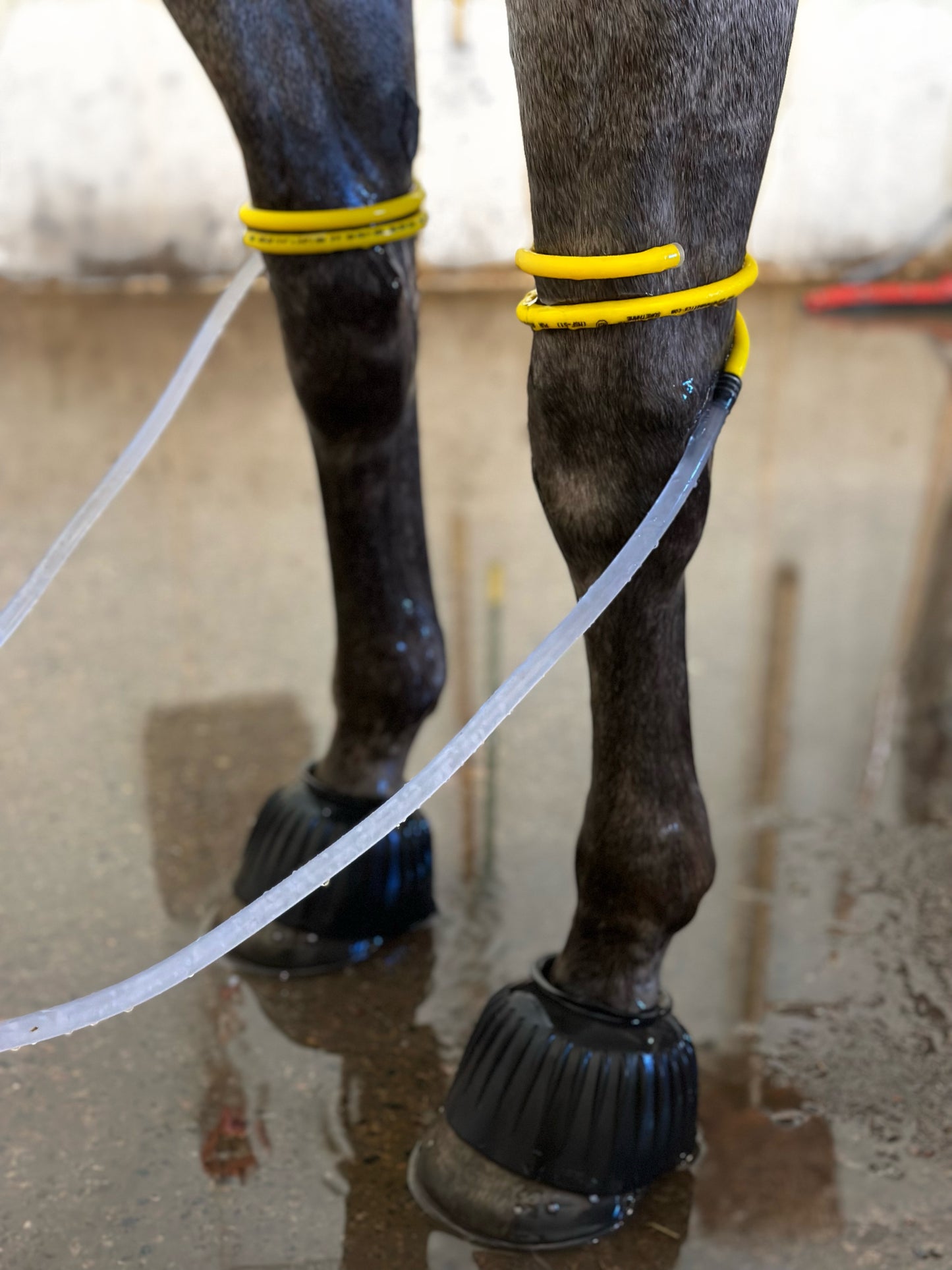 Leg Soaker