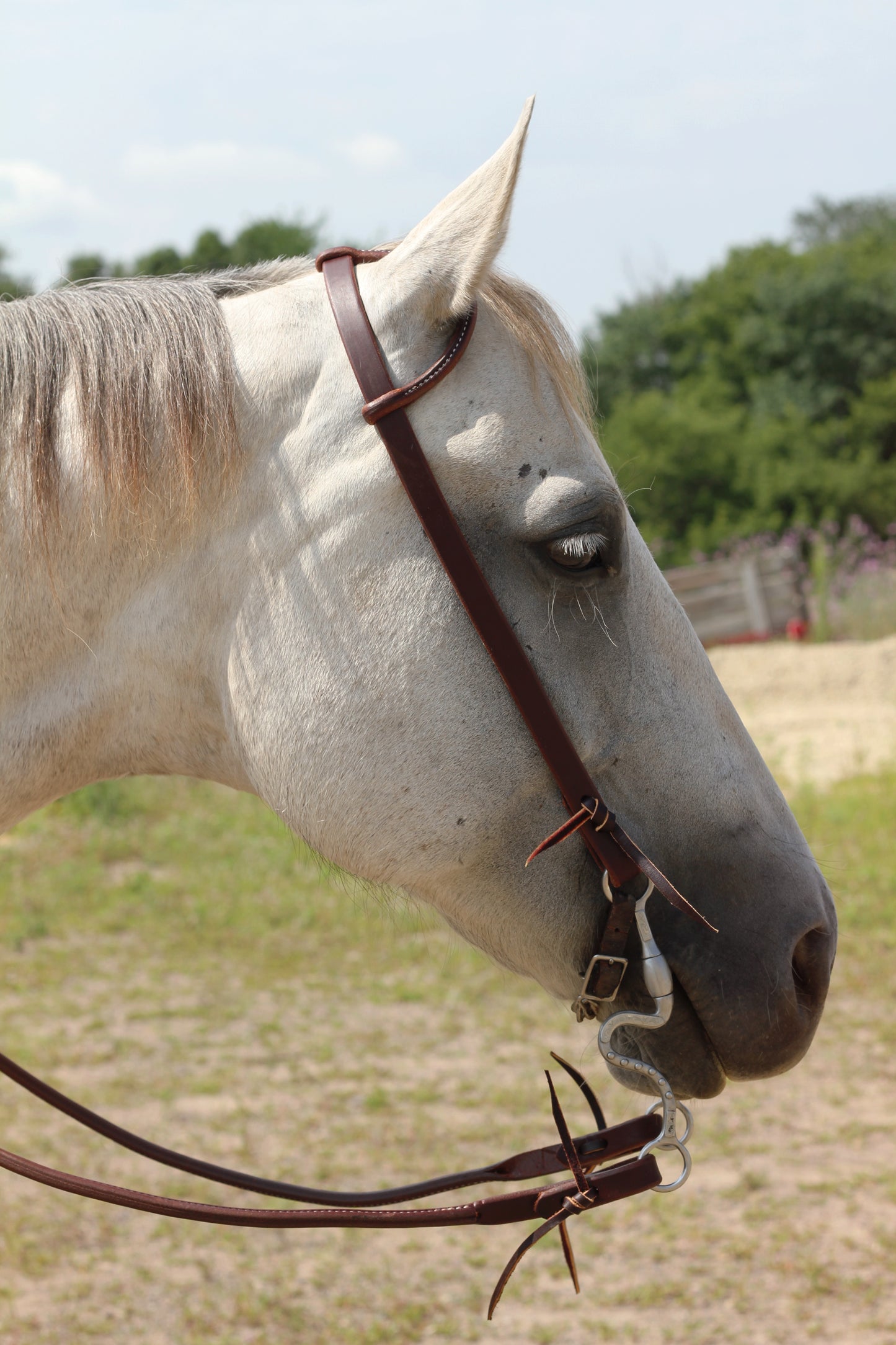 Tooled & Copper Buckle Headstall
