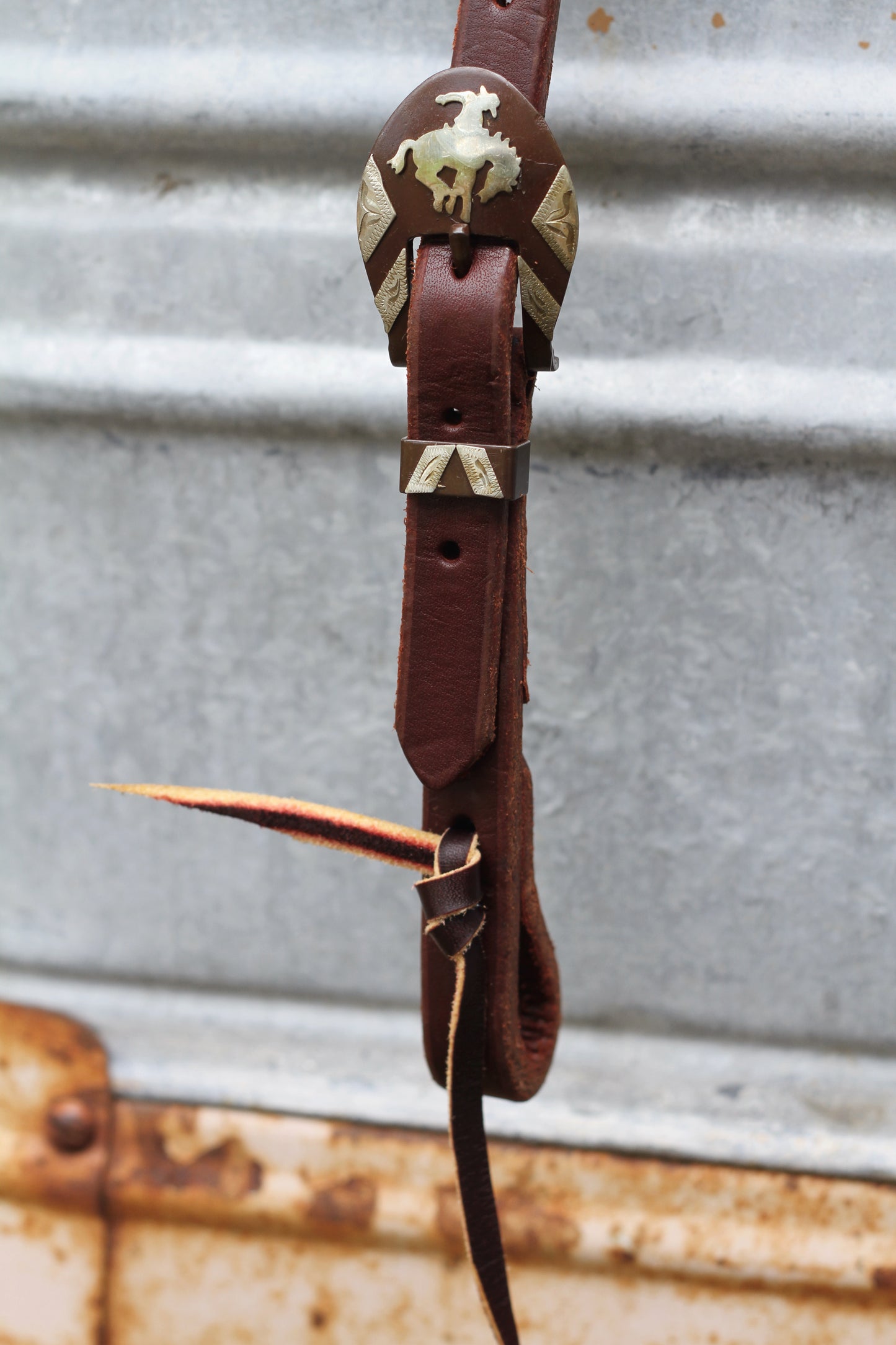 Bronc Buckle Headstall
