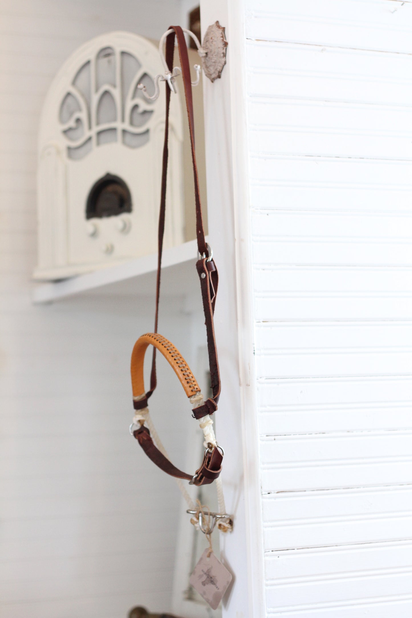 Rope Tie Down with Caveson