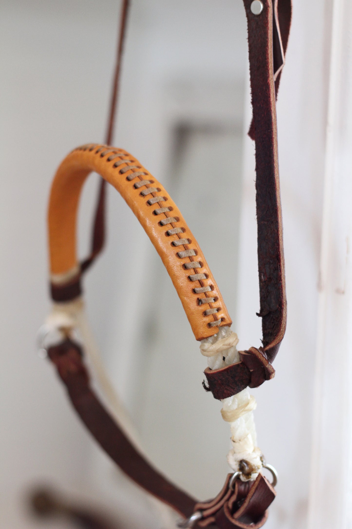 Rope Tie Down with Caveson