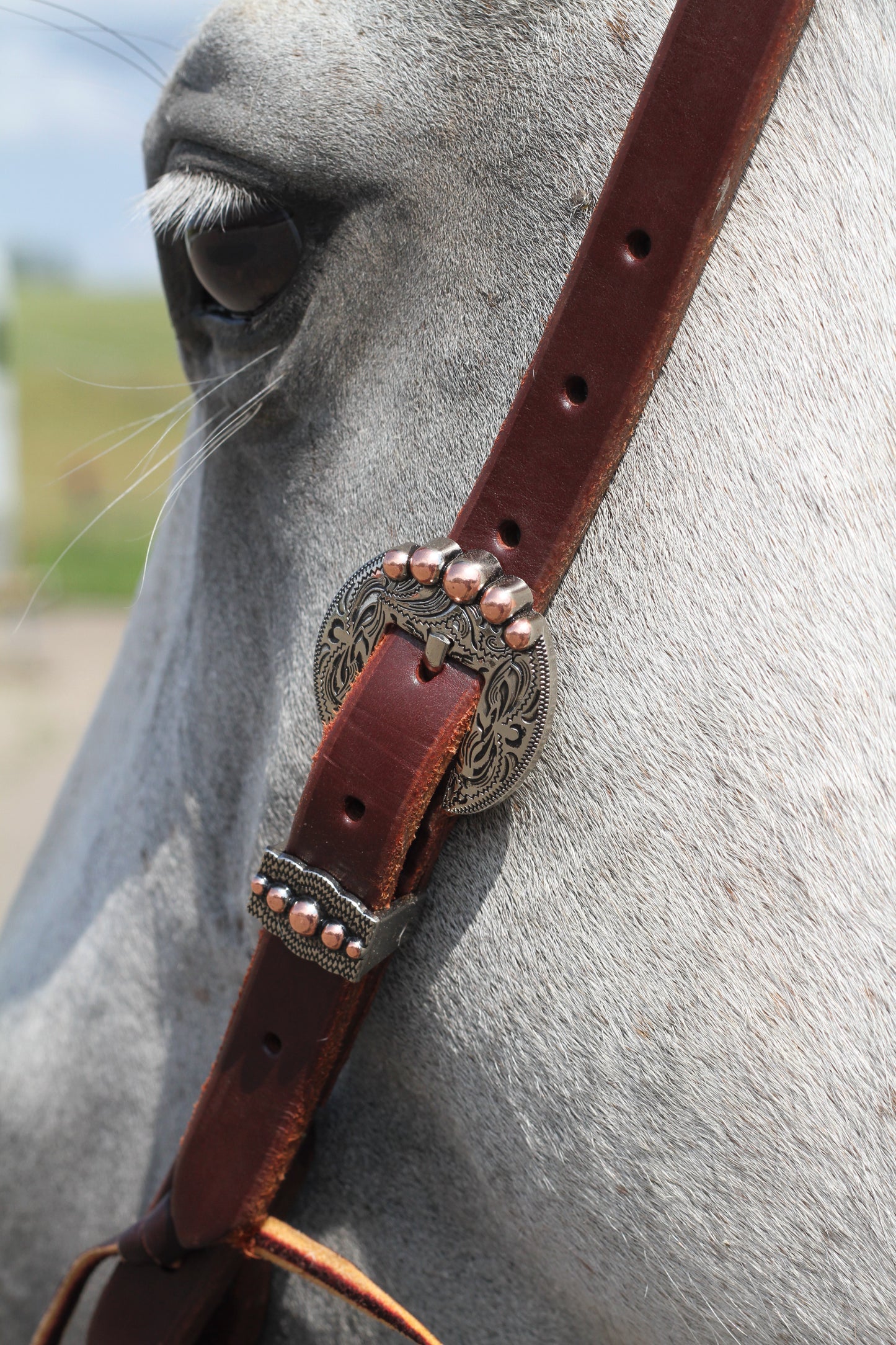 Tooled & Copper Buckle Headstall
