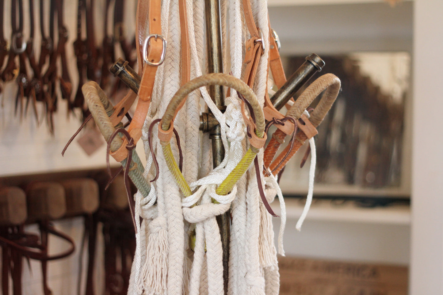 Double Rope Loping Hackamore