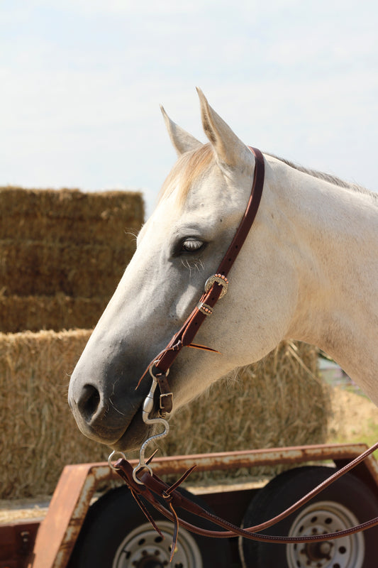 Tooled & Copper Buckle Headstall