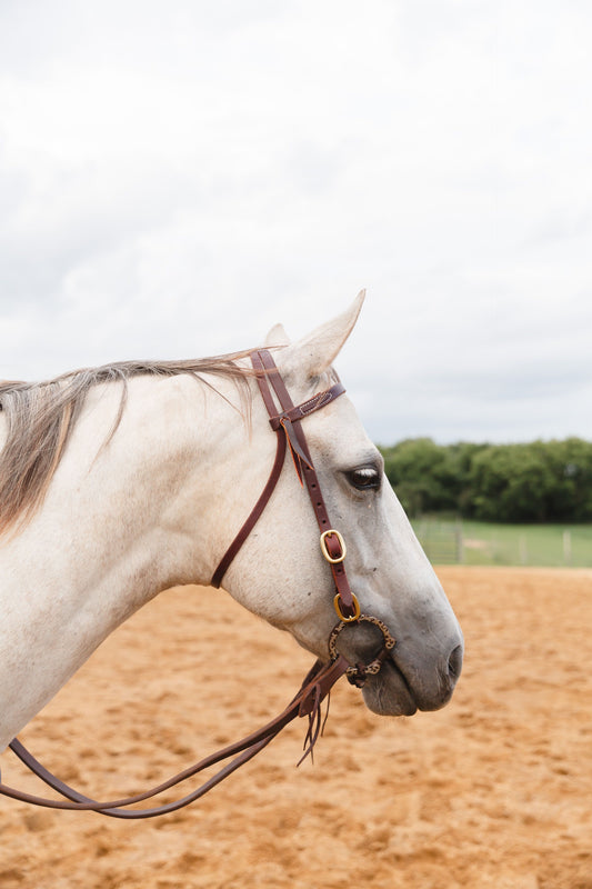 Four Buckle Browband Headstall