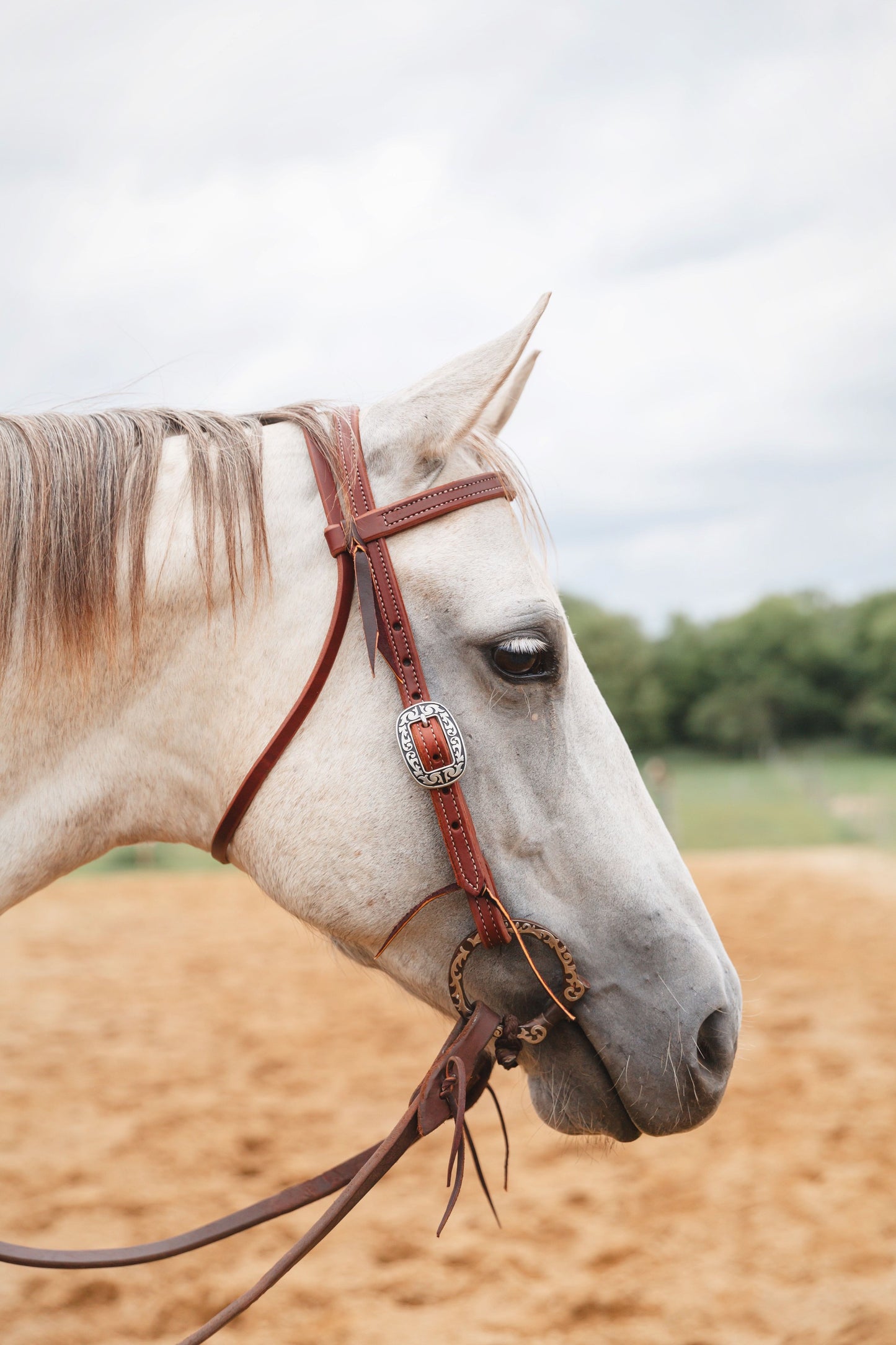 Double Stitched Browband Headstall With Double J Buckles