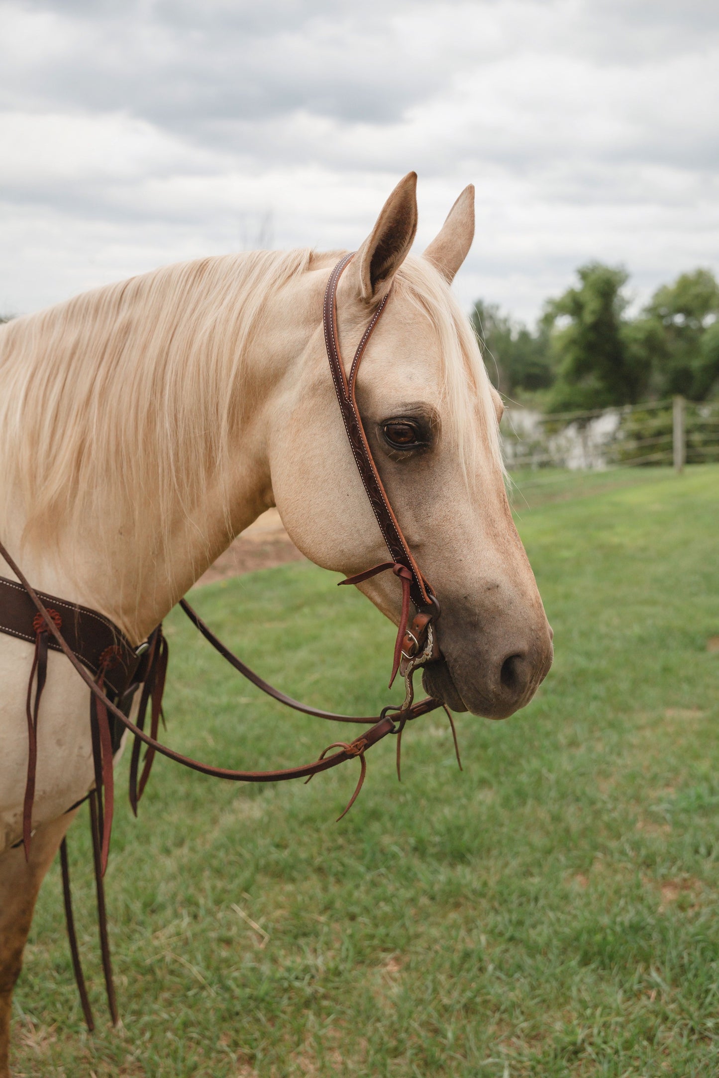 Martin Saddlery Ranahan Headstall with Leaf Tooling