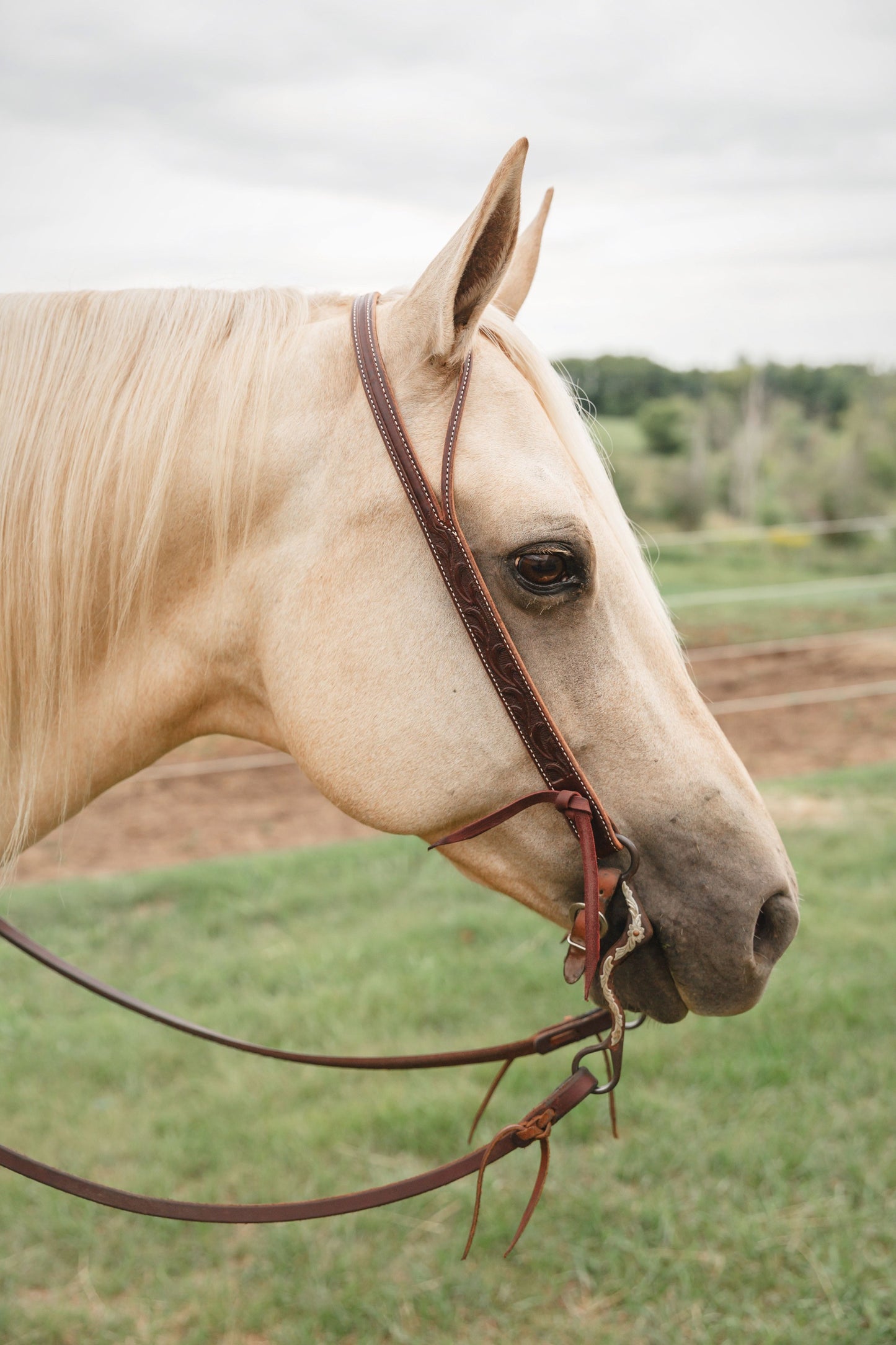Martin Saddlery Ranahan Headstall with Leaf Tooling
