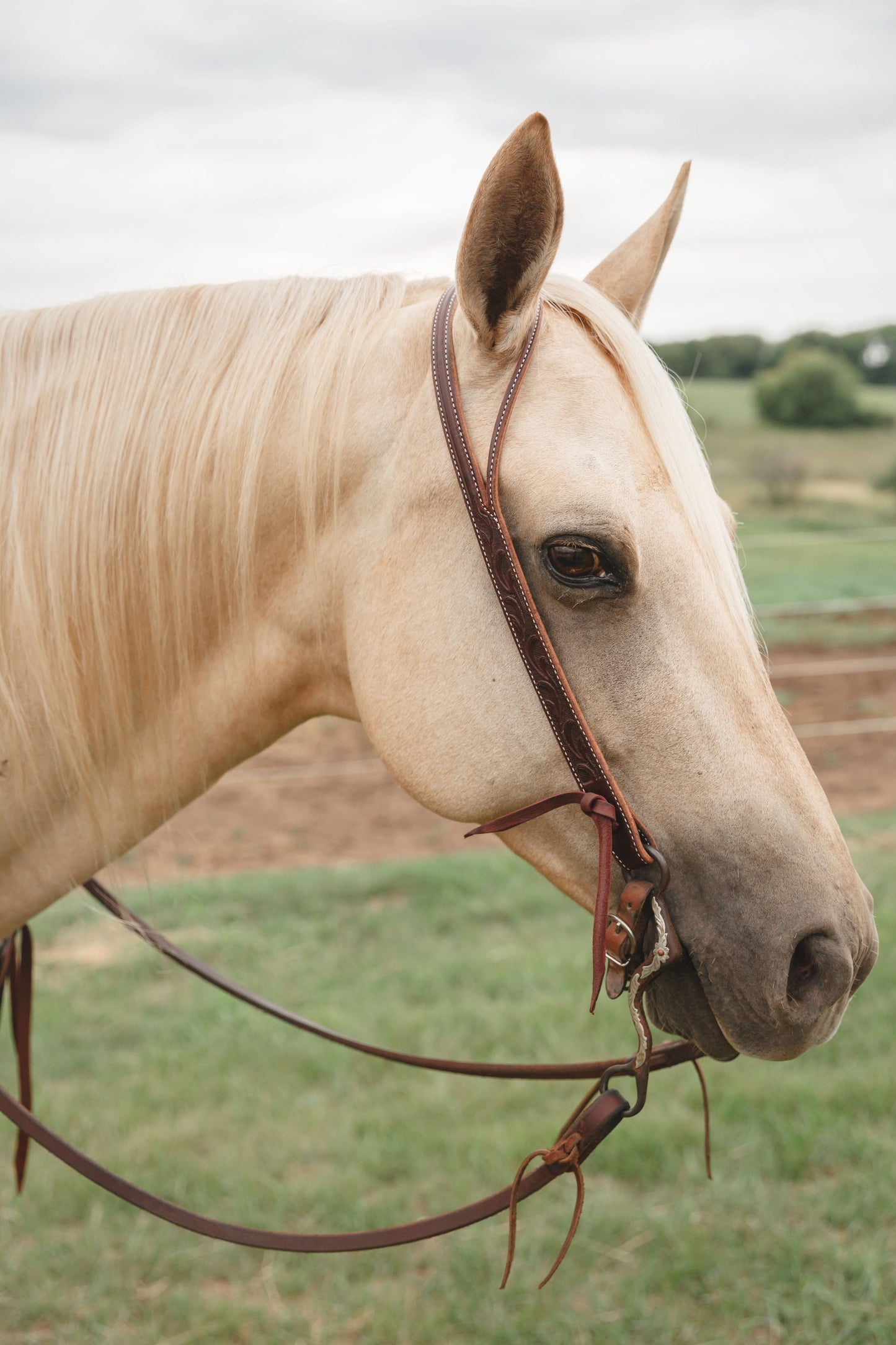 Martin Saddlery Ranahan Headstall with Leaf Tooling