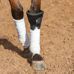 Classic Equine Classic Knee Boot2