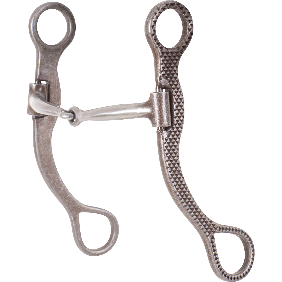6" Classic Equine BitLogic Rasp Straight Shank Bit with Smooth Bar