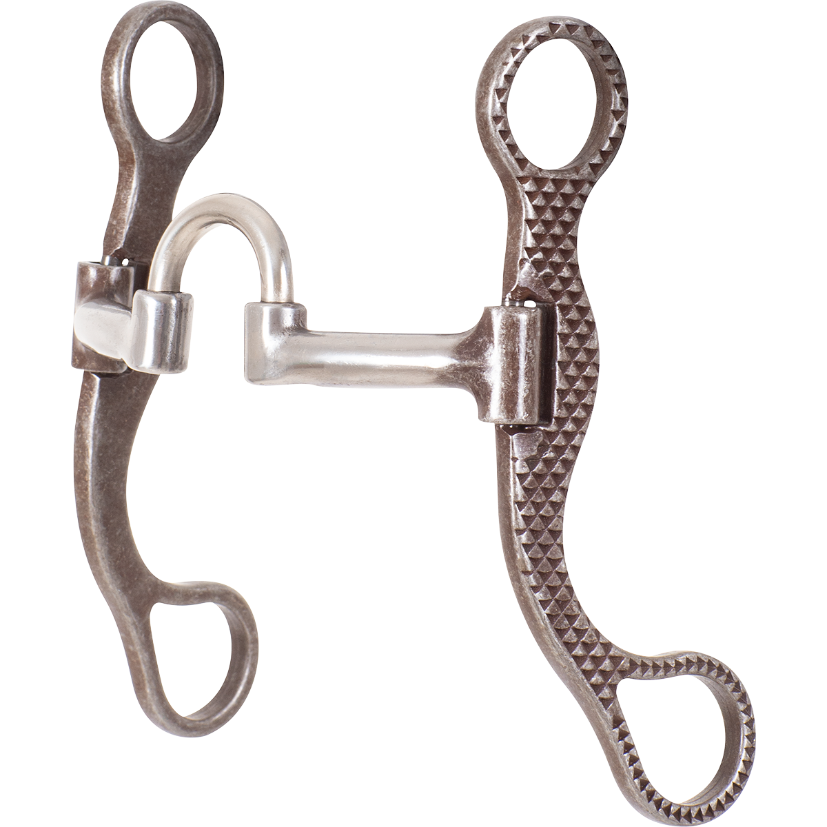 Classic Equine BitLogic Rasp Series Straight Shank Bit with Short Correction