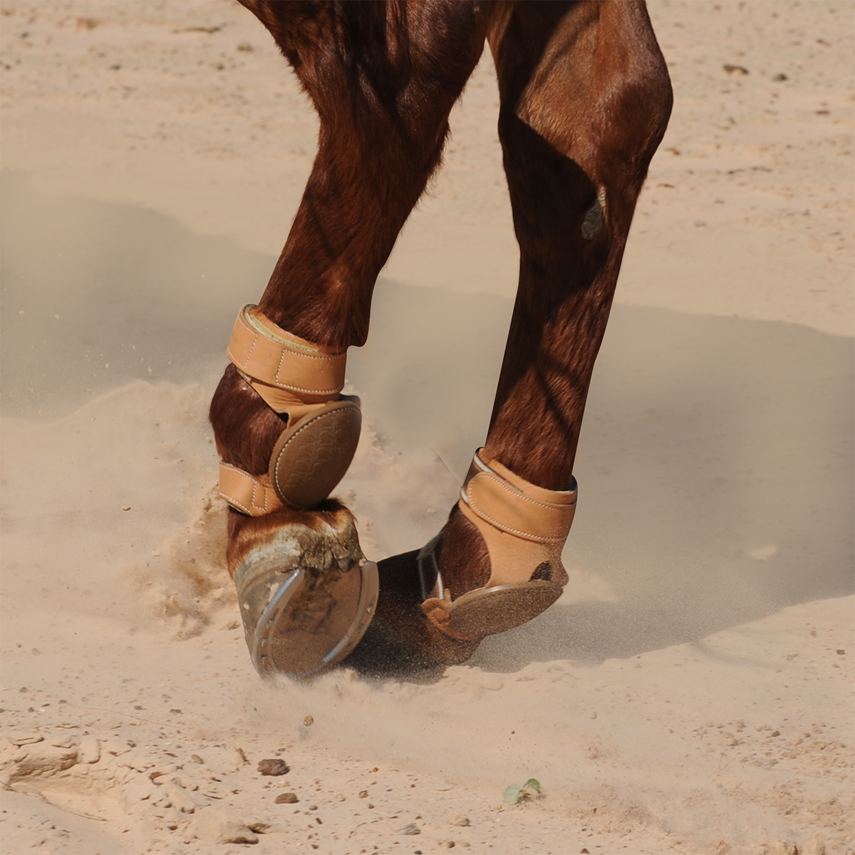 Classic Equine Pro Reiner Skid Boot - Natural