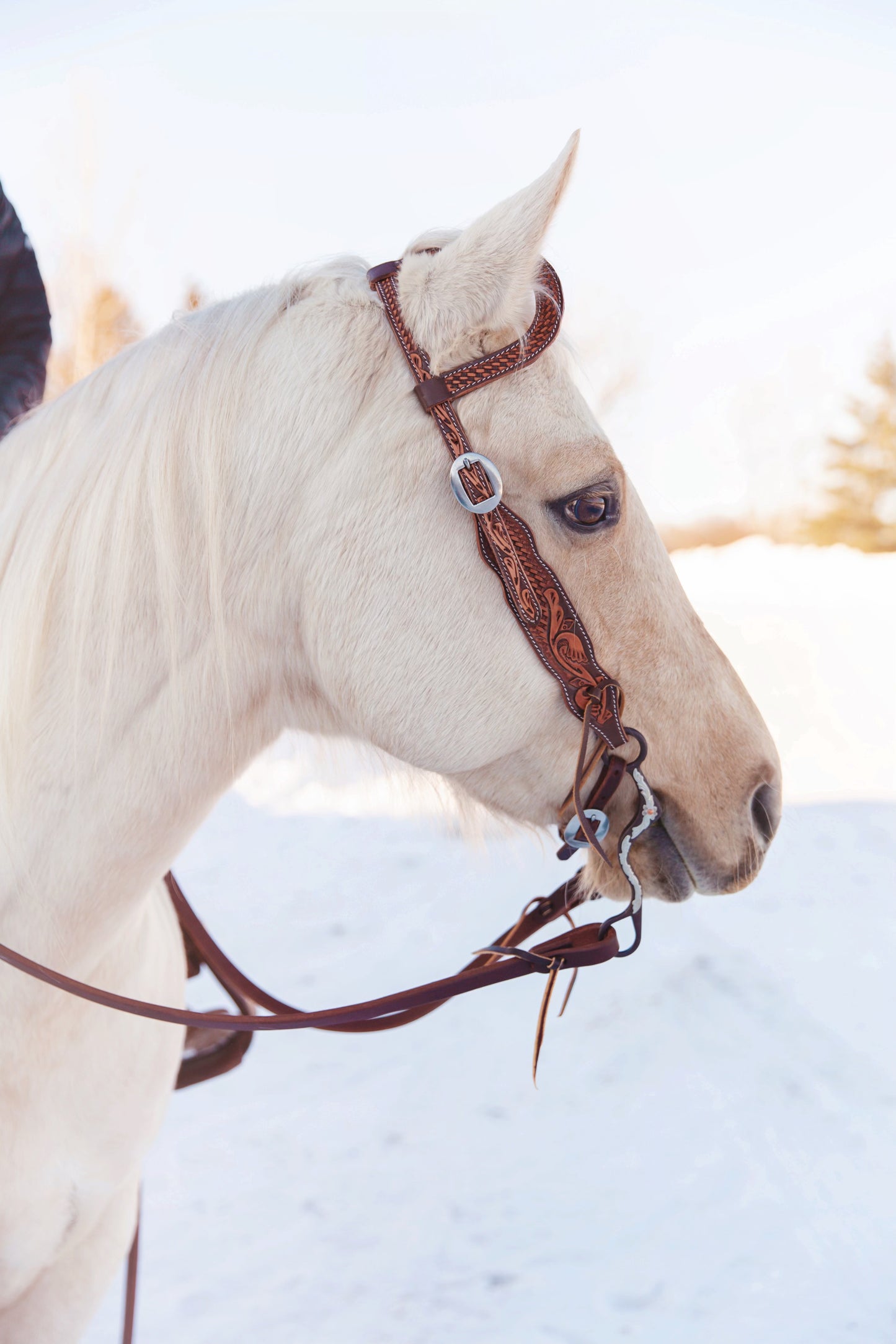 Floral & Basketweave Tooled Slip Ear Headstall
