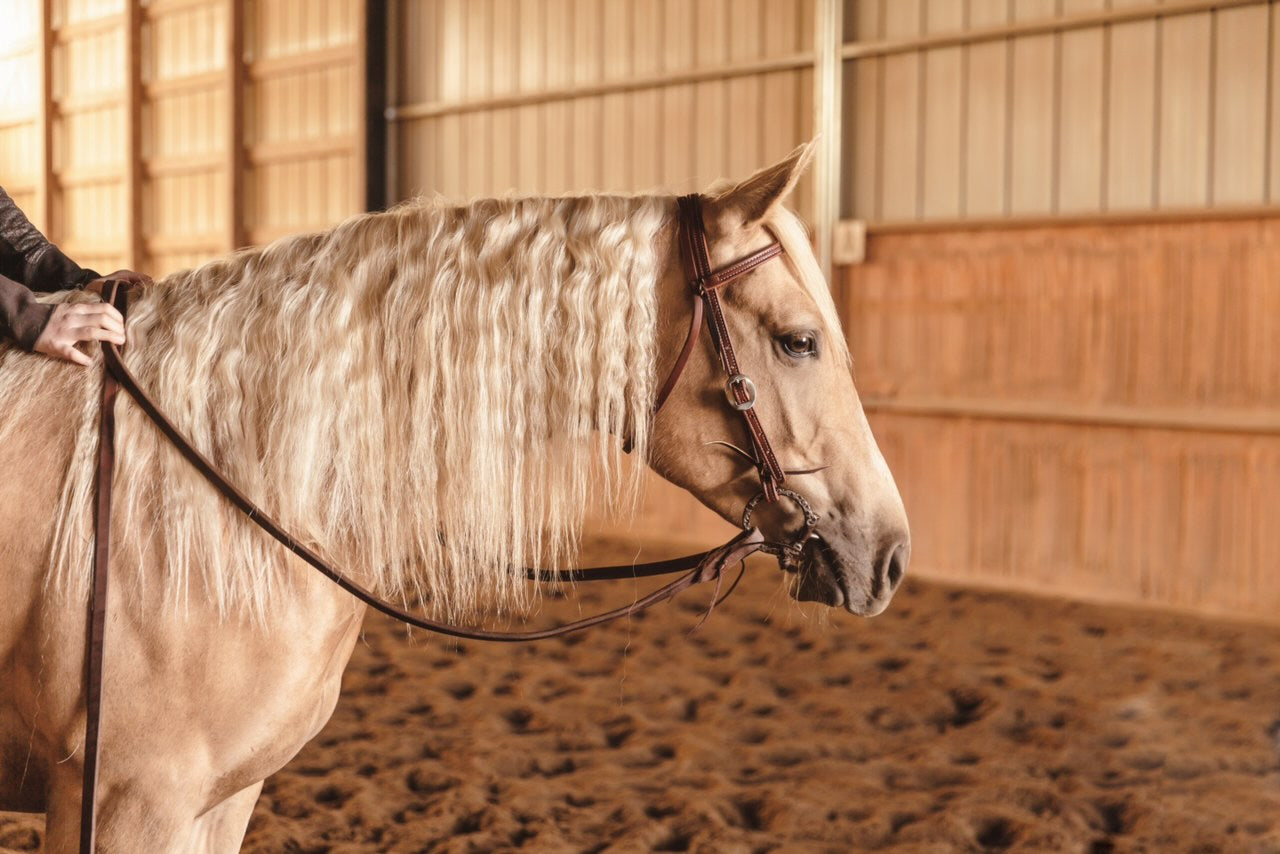 Double Stitched Browband Headstall