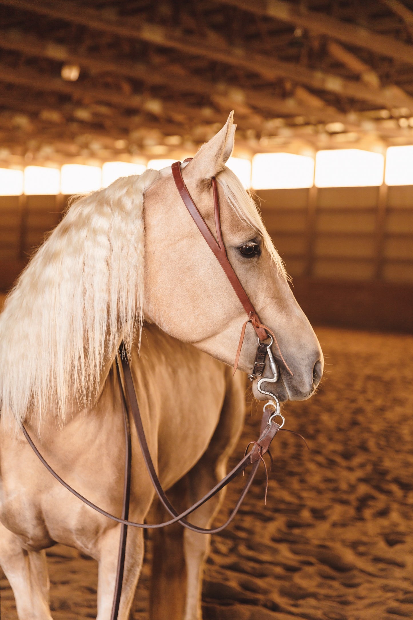 Cowboy Slot Ear