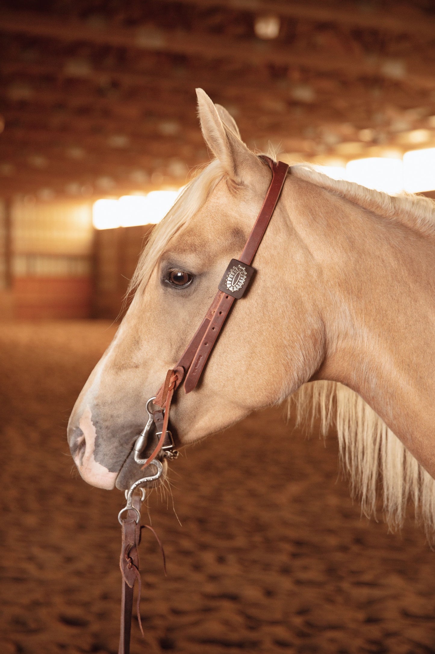 Custom Buckle Slit Ear Headstall