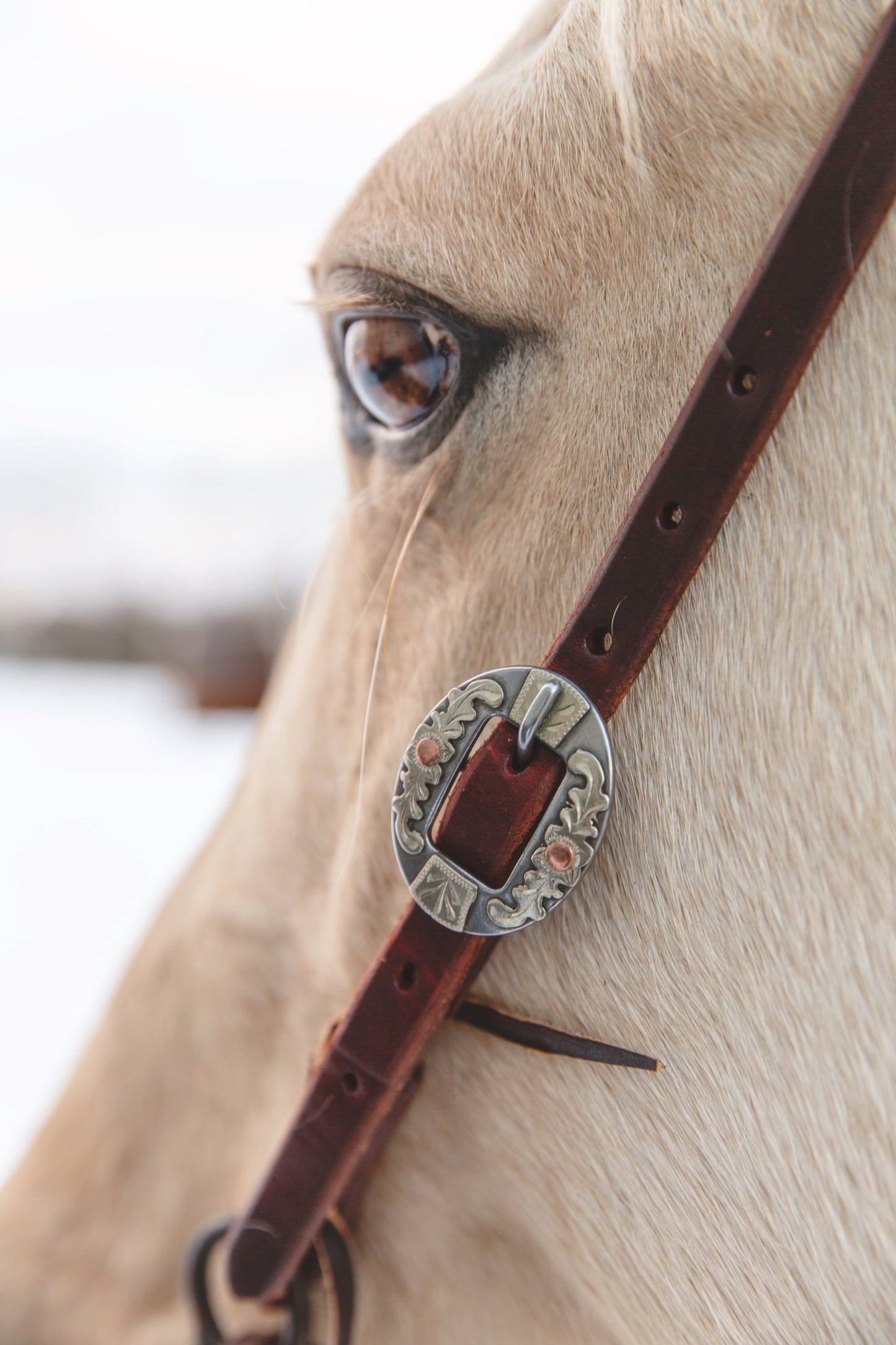 Floral Brushed Cart Buckle Headstall