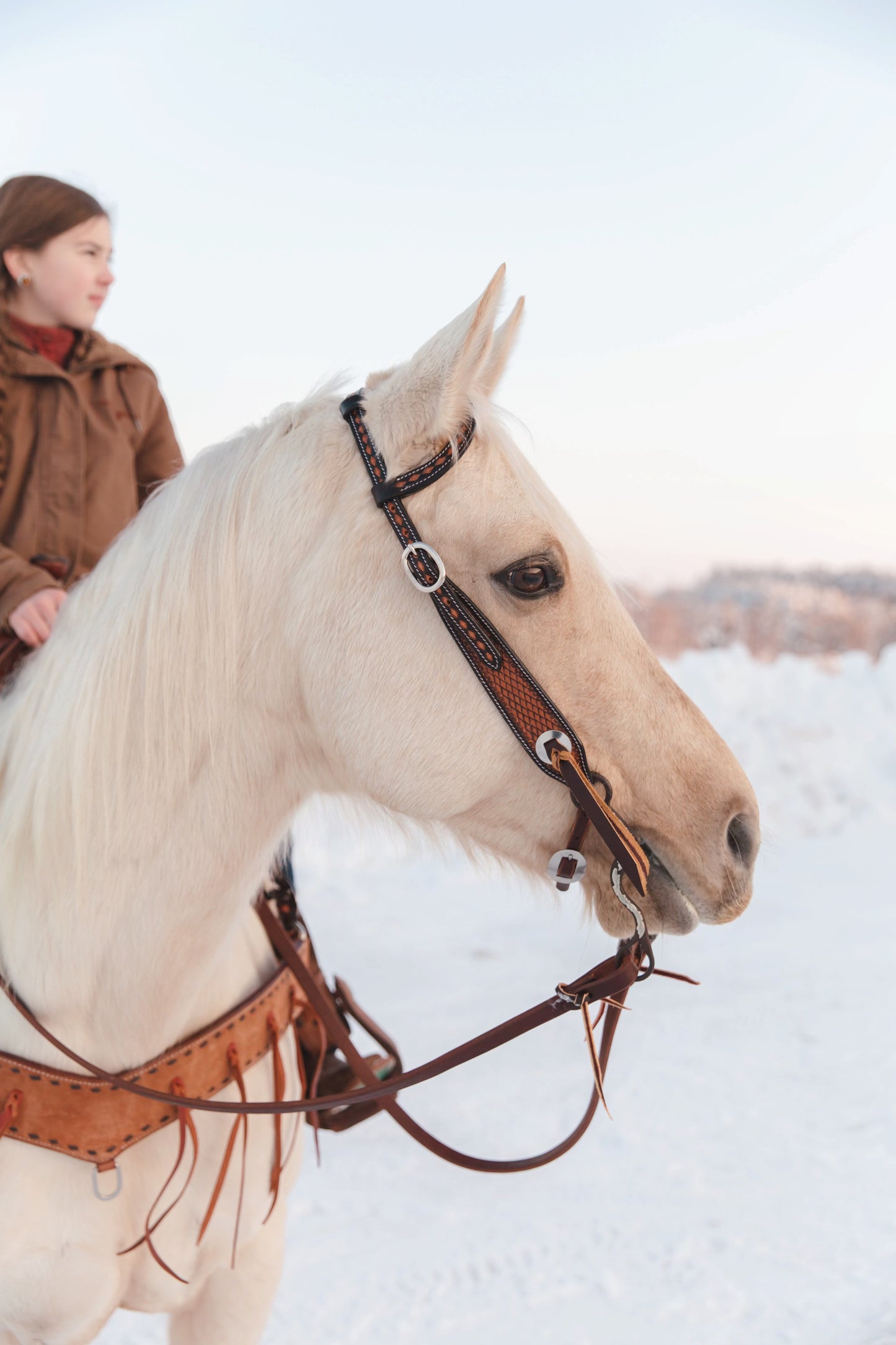 Two-tone Tooled Headstall