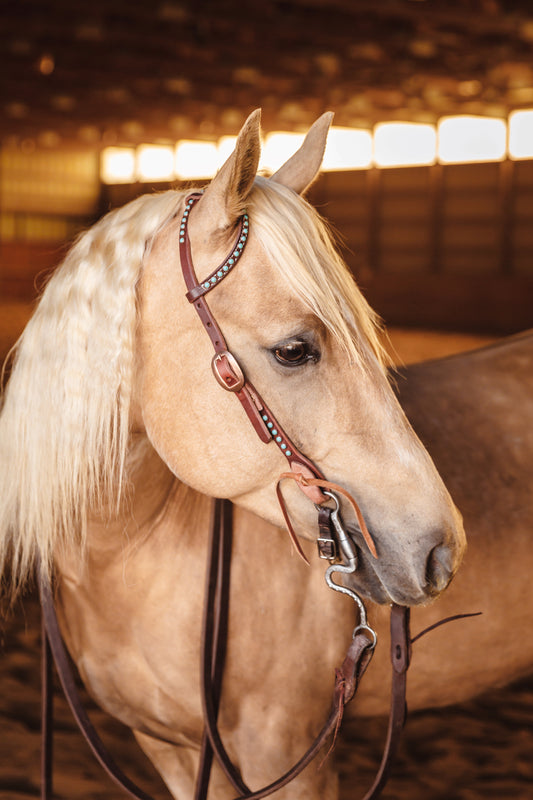 Turquoise Dotted Headstall
