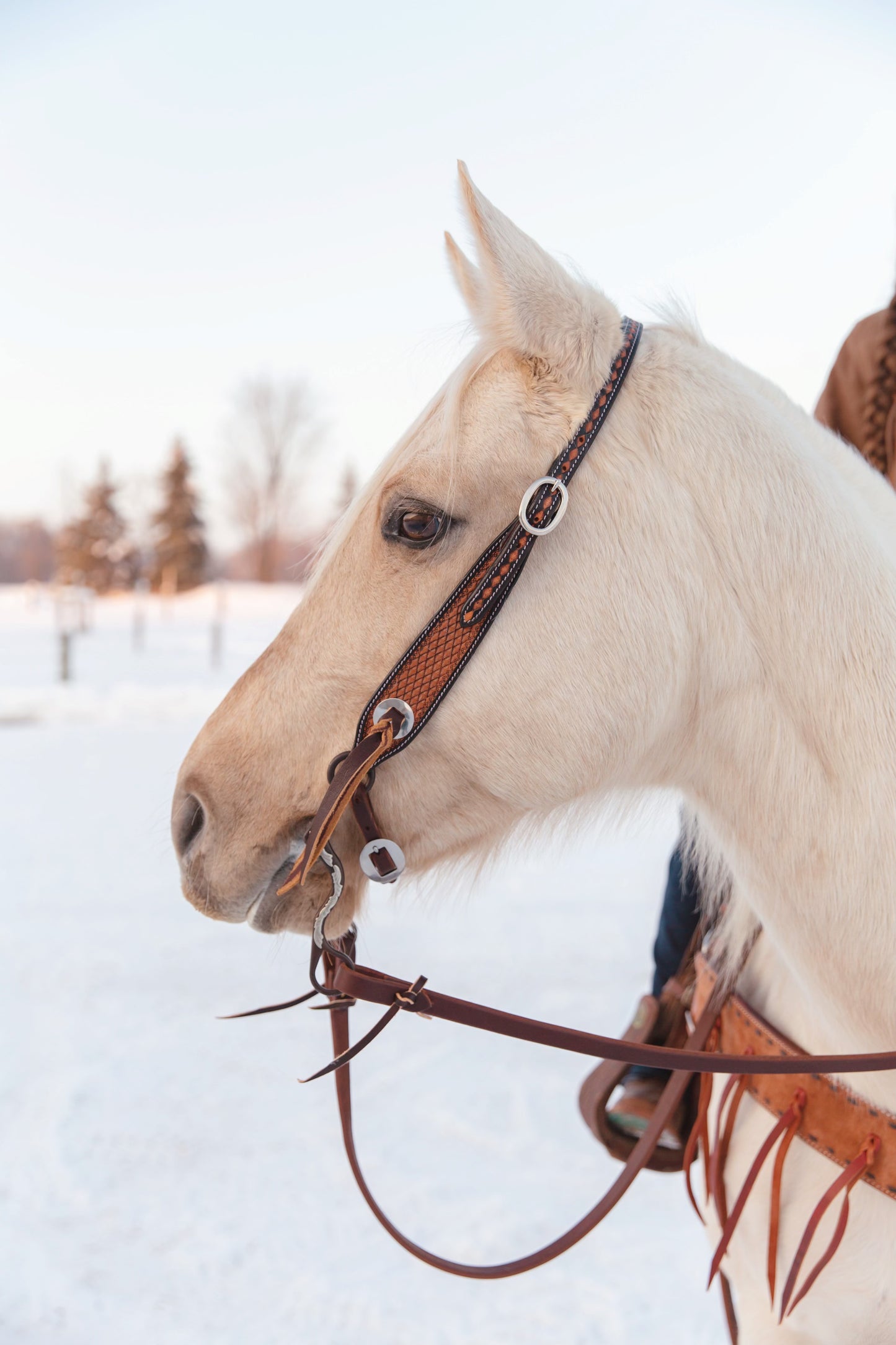 Two-tone Tooled Headstall