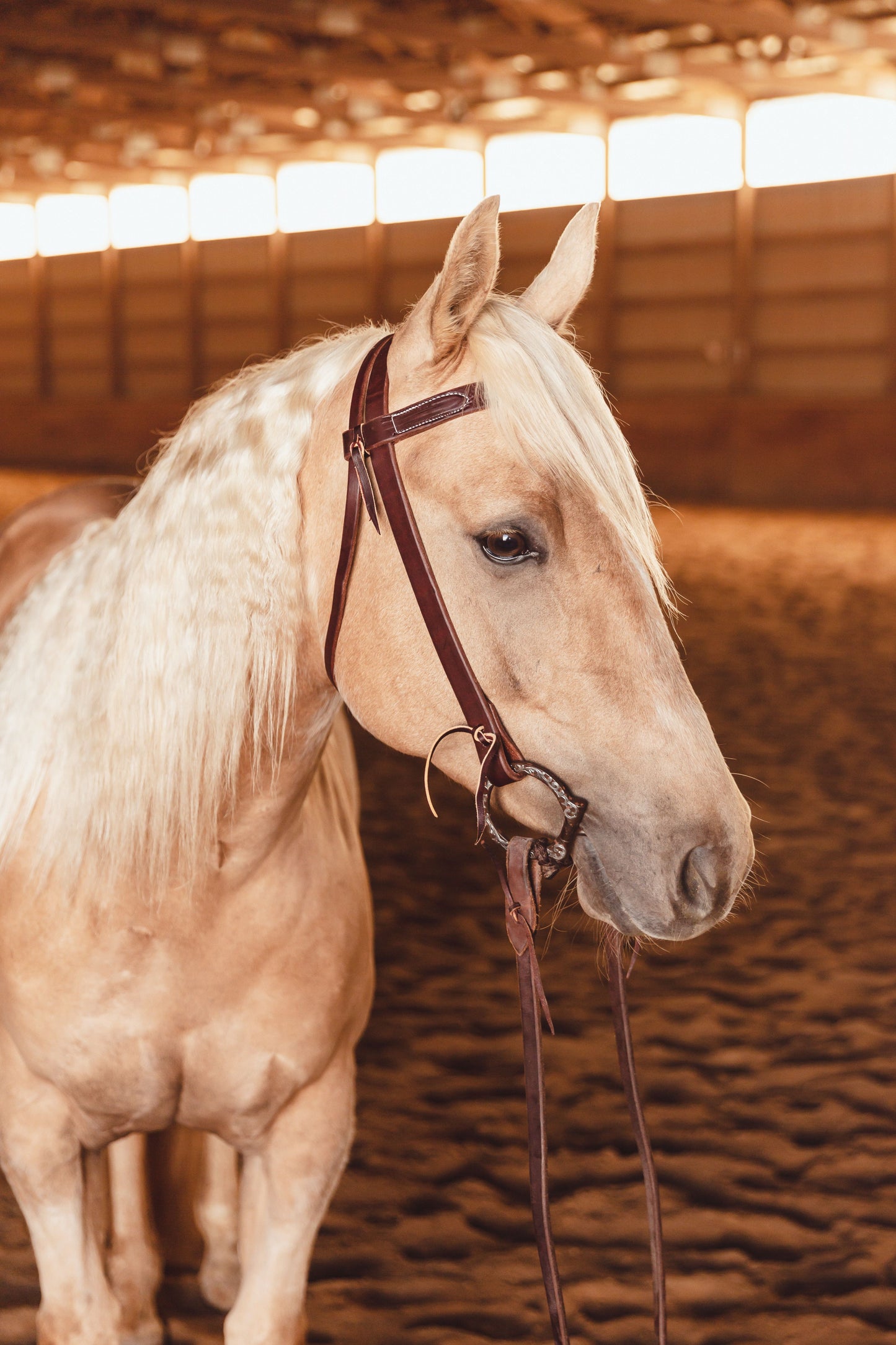1 Inch Browband Headstall