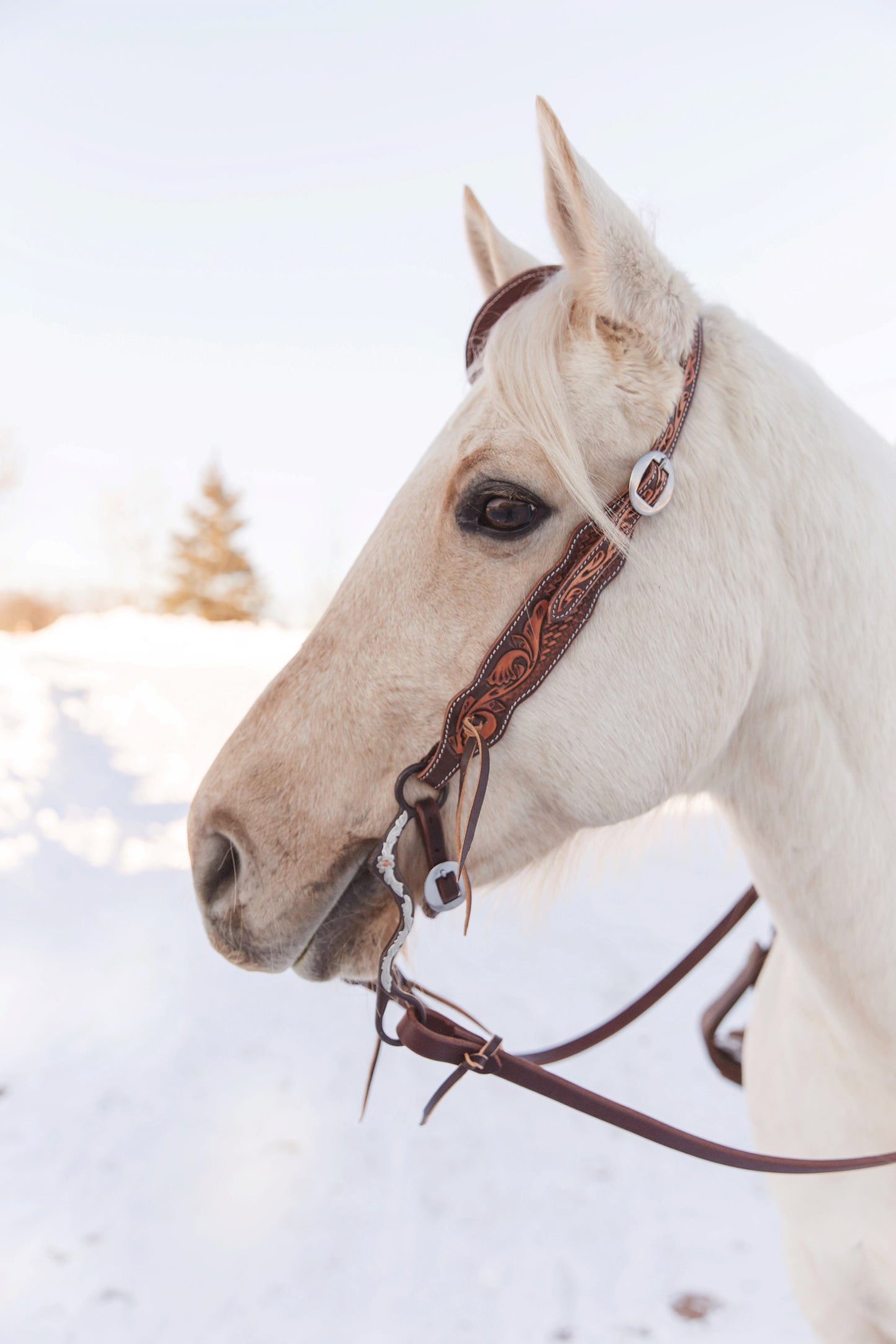 Floral & Basketweave Tooled Slip Ear Headstall