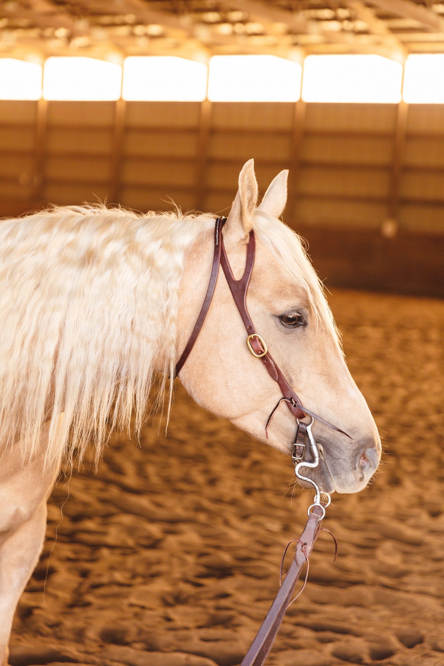 Shaped Ear Headstall with Throat Latch