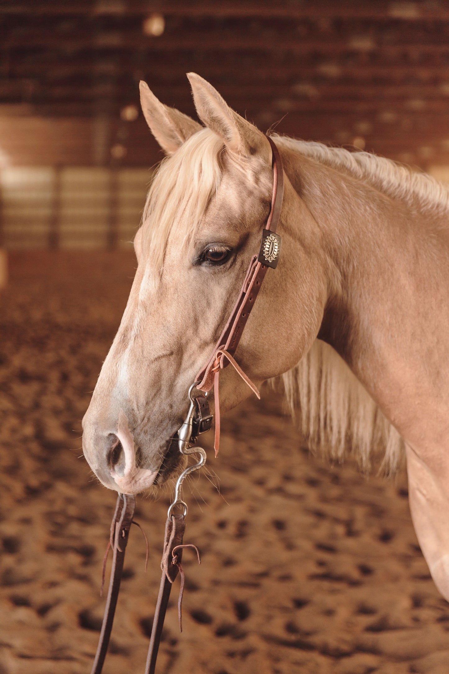 Custom Buckle Slit Ear Headstall