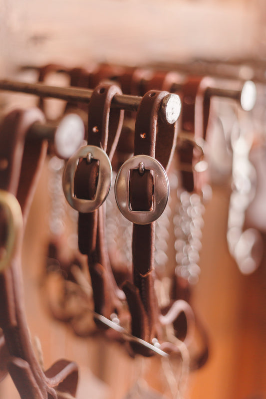 Leather Curb Strap with Stainless Buckles