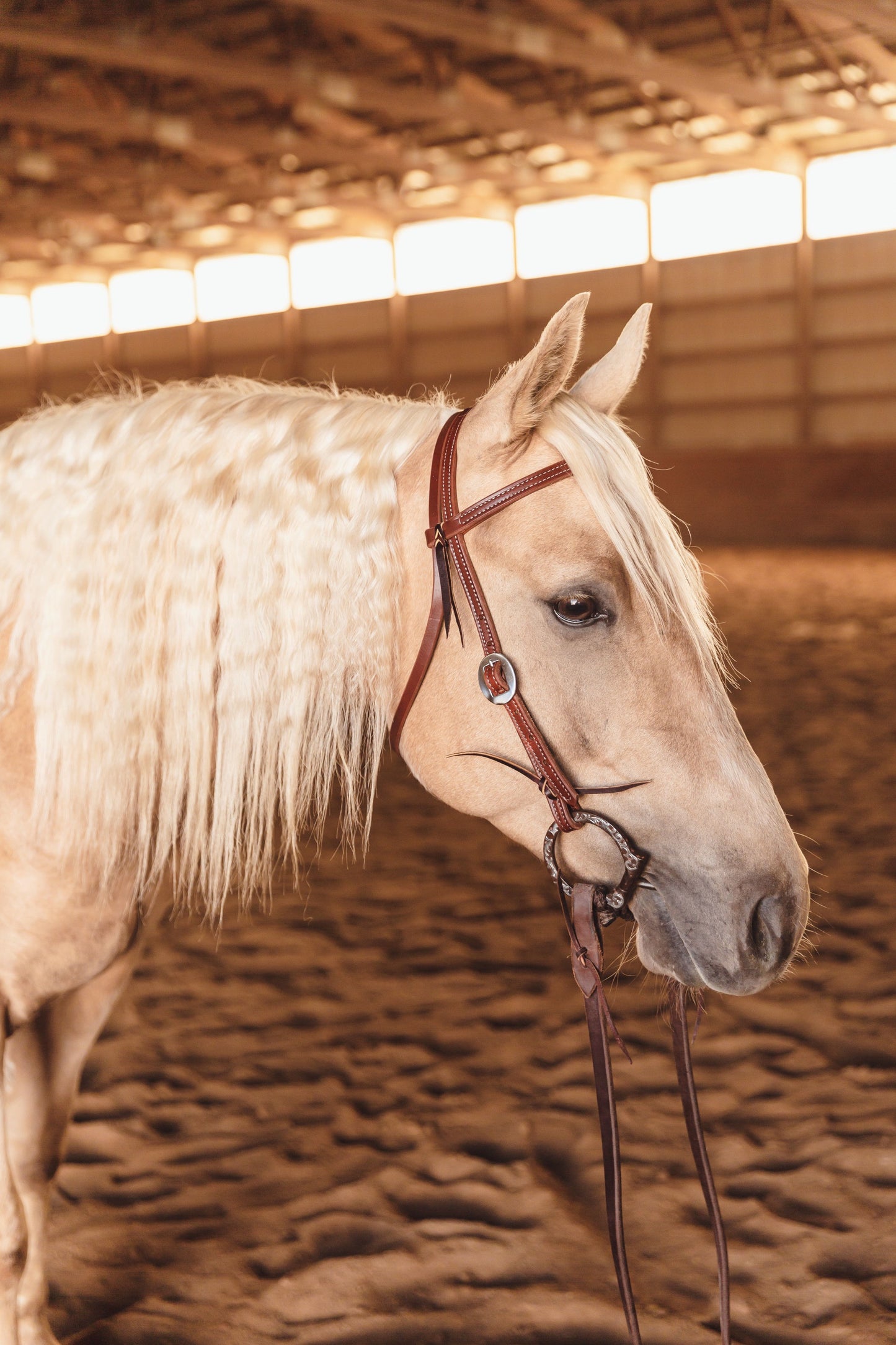 Double Stitched Browband Headstall