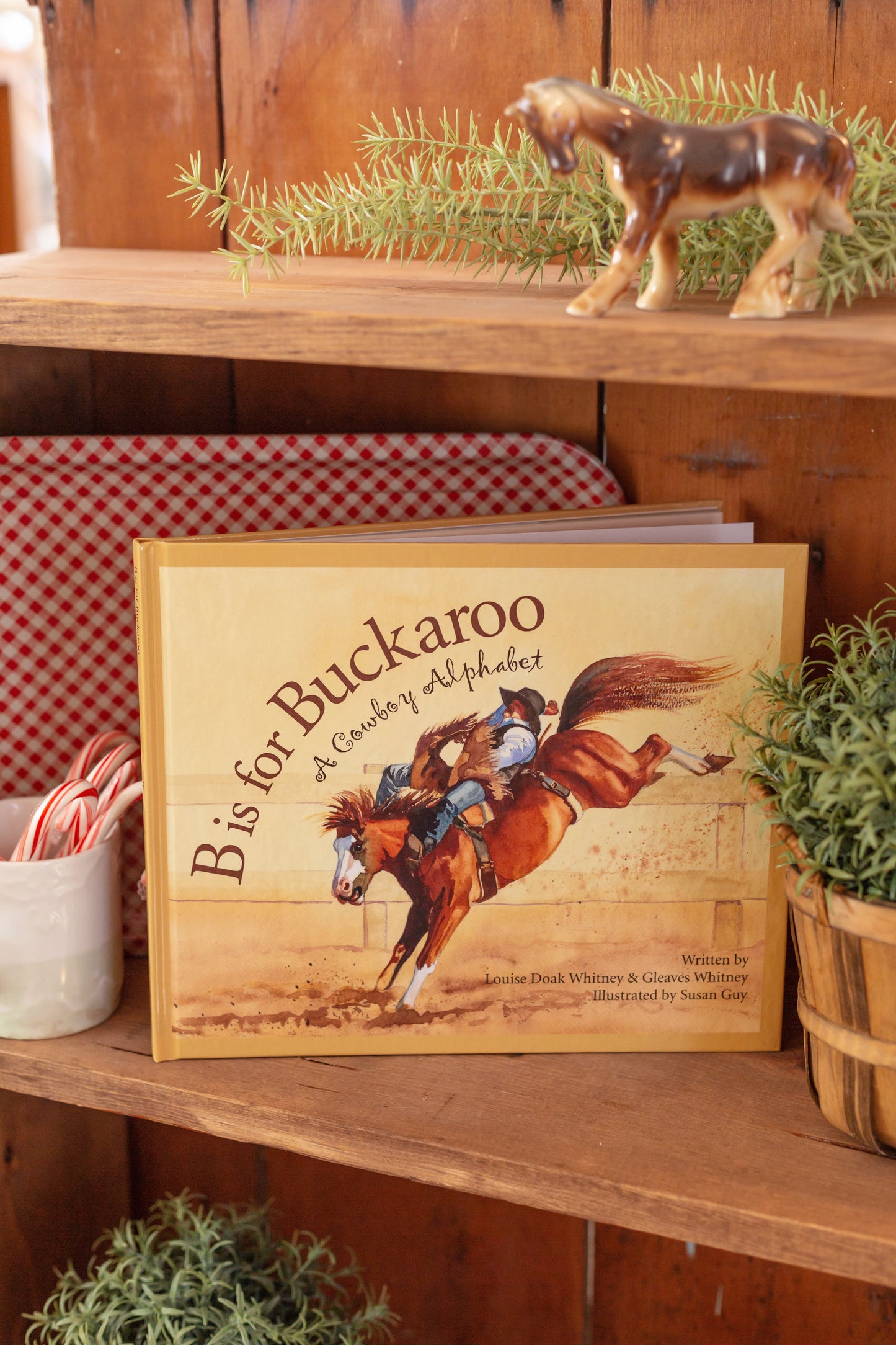 B Is For Buckaroo Book