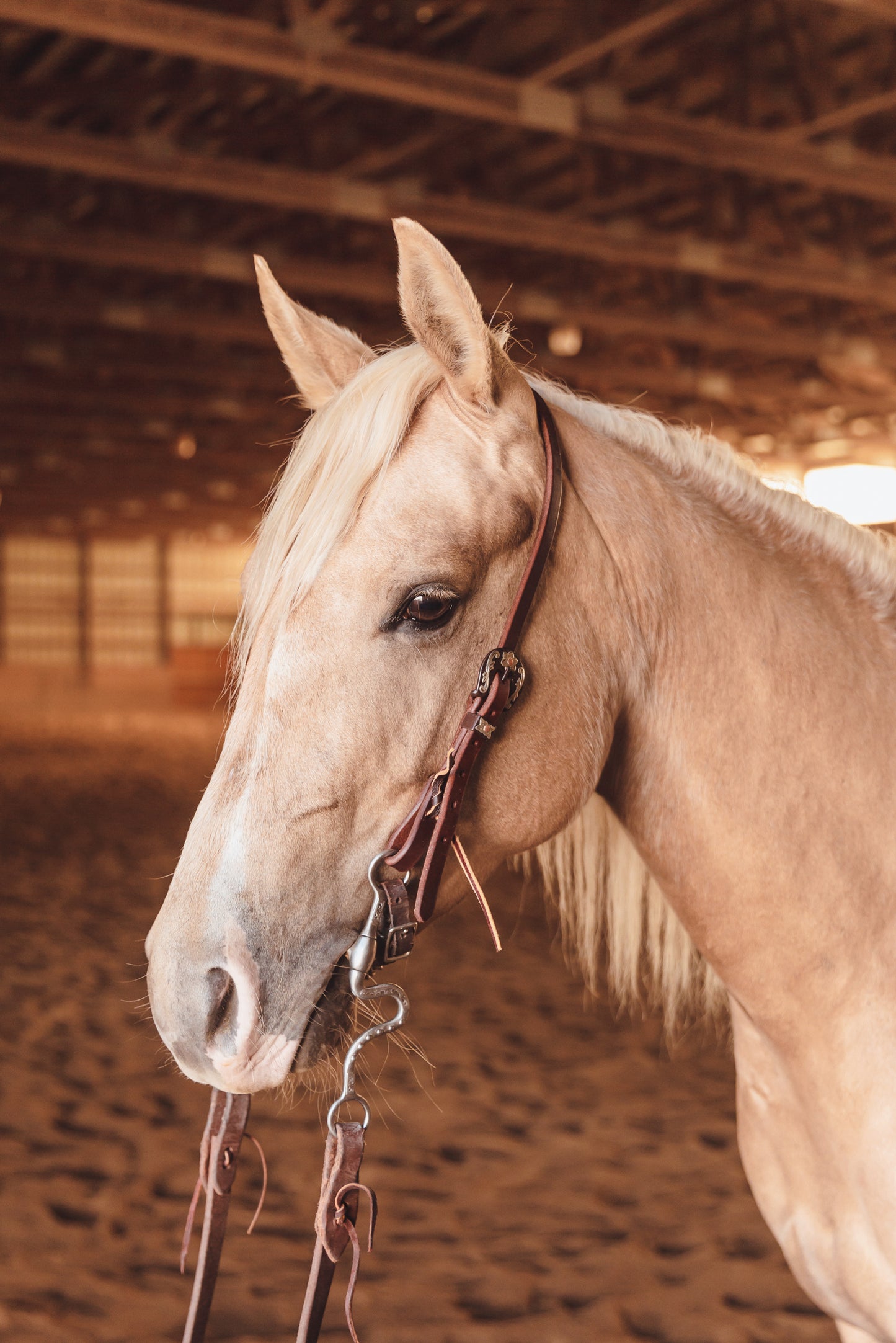 Slip Ear Headstall - Antique Floral Buckle