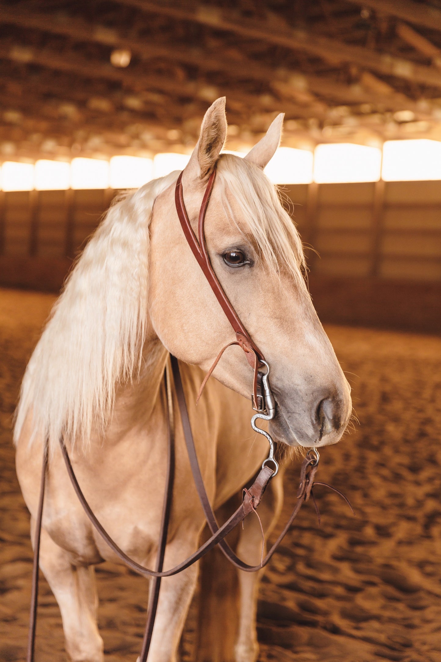 Cowboy Slot Ear
