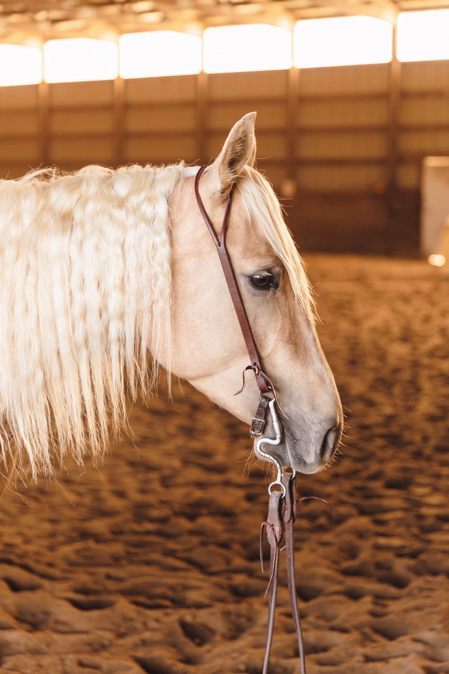 Slit Ear Headstall