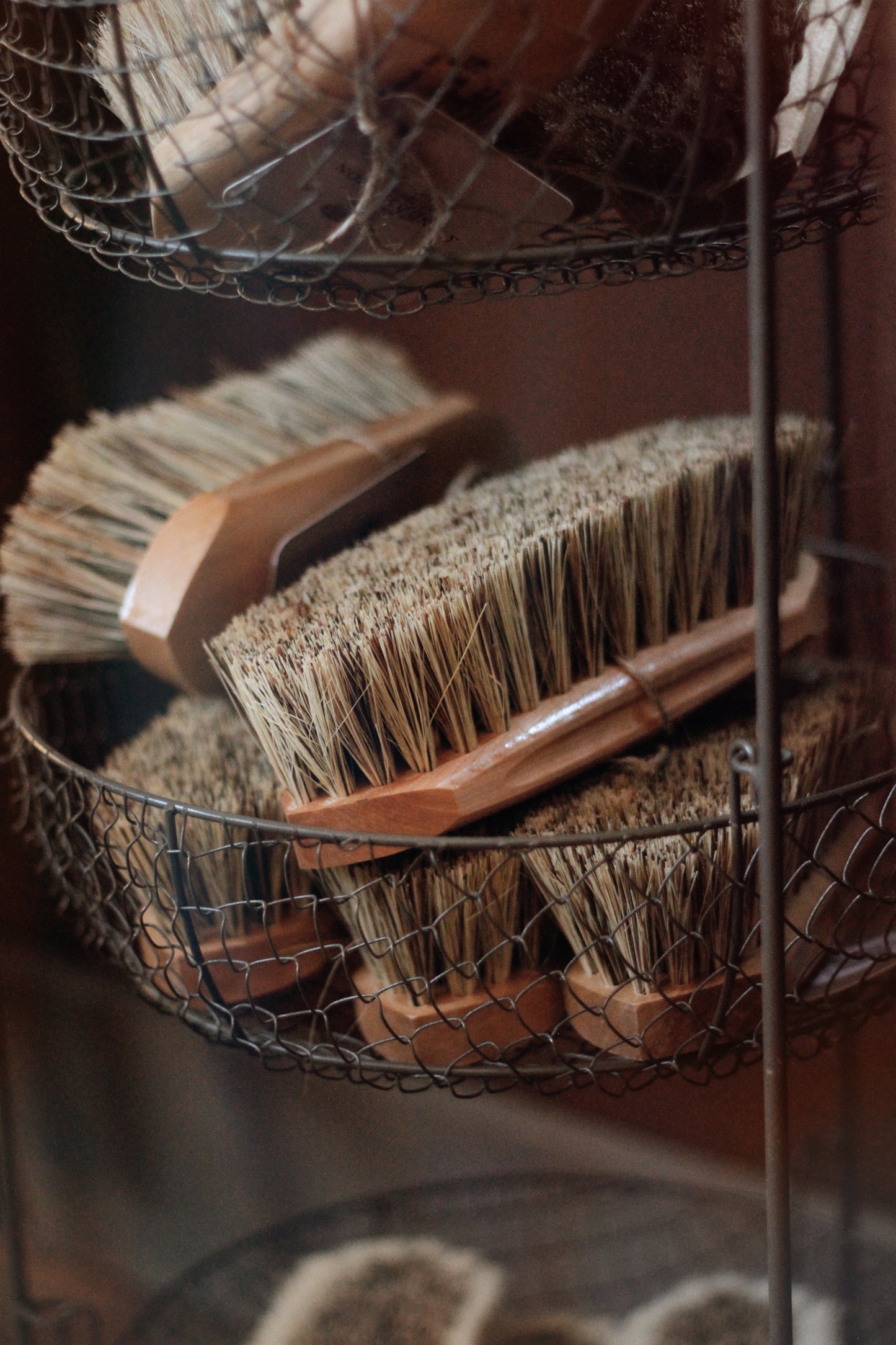 Stiff Grooming Brush