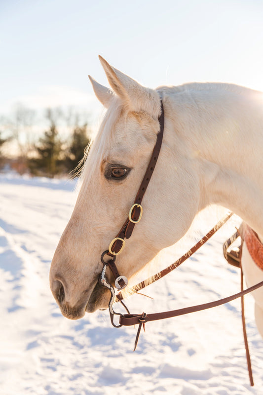 Buckle End Slip Ear Headstall