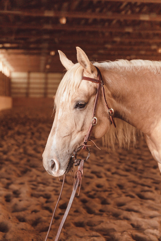 Double Stitched Browband Headstall