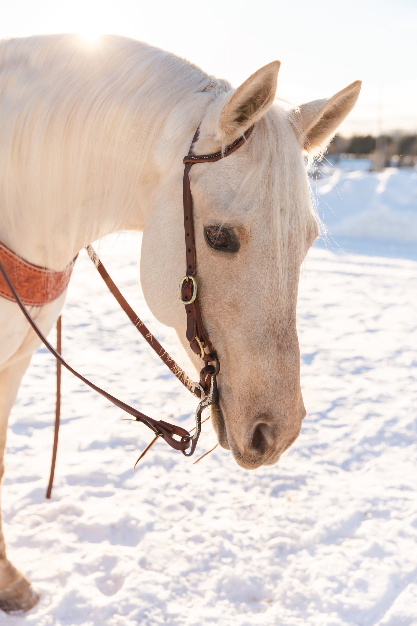 Buckle End Slip Ear Headstall