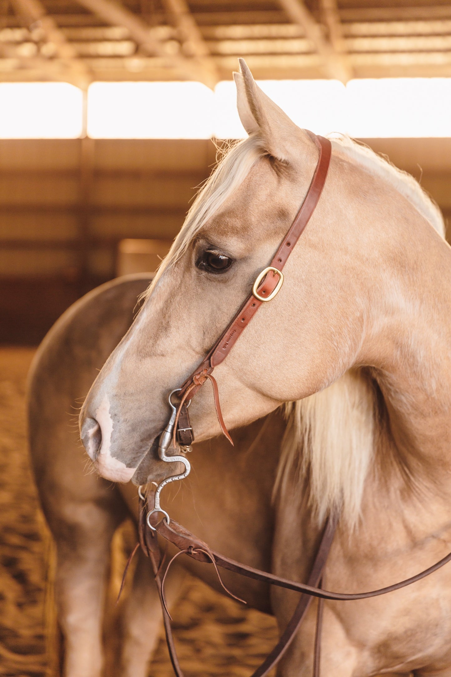 Cowboy Slot Ear