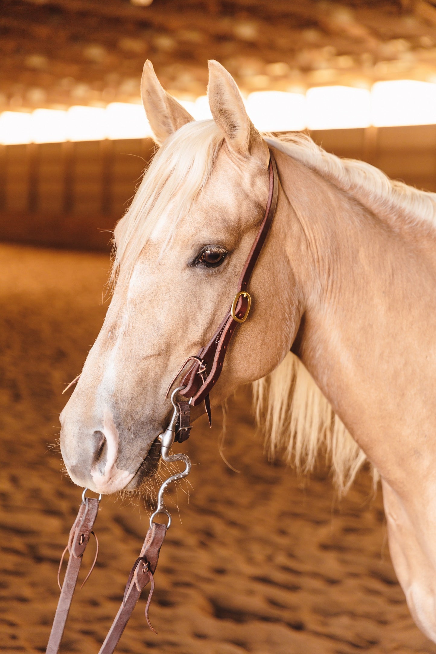 Slit Ear Headstall