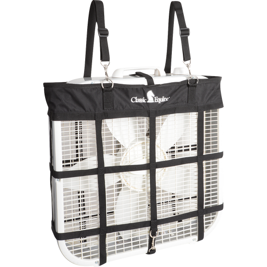 Box Fan Bag