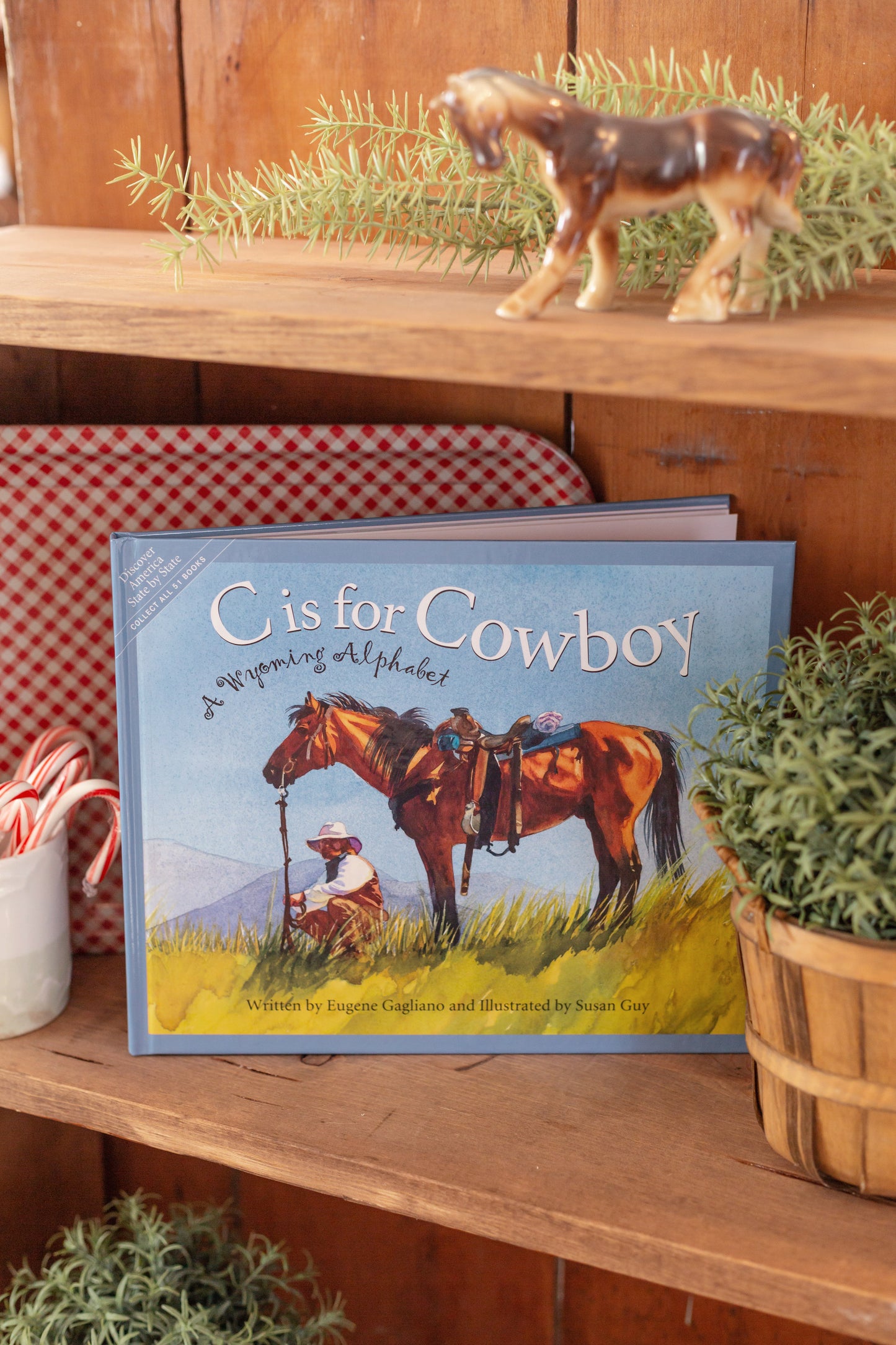 C Is For Cowboy Book