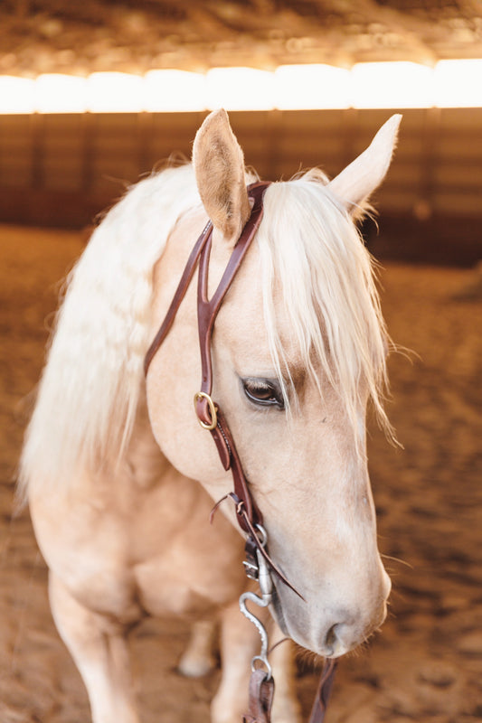 Shaped Ear Headstall with Throat Latch